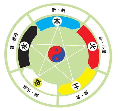 眼睛五行|【眼睛五行】眼睛五行是什麼？看完秒懂！